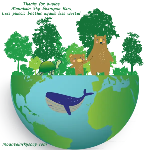 Wildwoods Shampoo Bar