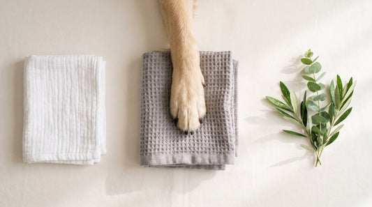 A baby washcloth, a dog's paw on a towel and fresh green leaves, the everyday uses of unscented castile soap