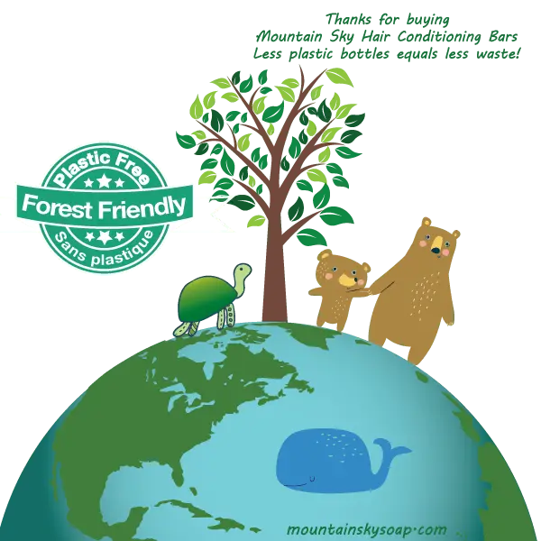 Wildwoods Hair Conditioner Bar