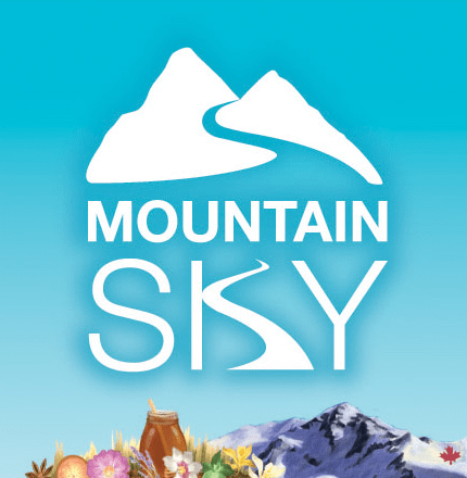Mountain Sky 3x3 logo web