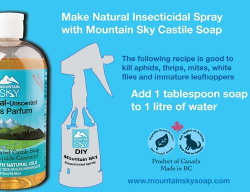 Aphids in the Garden? Try Mountain Sky Castile Liquid Soap!