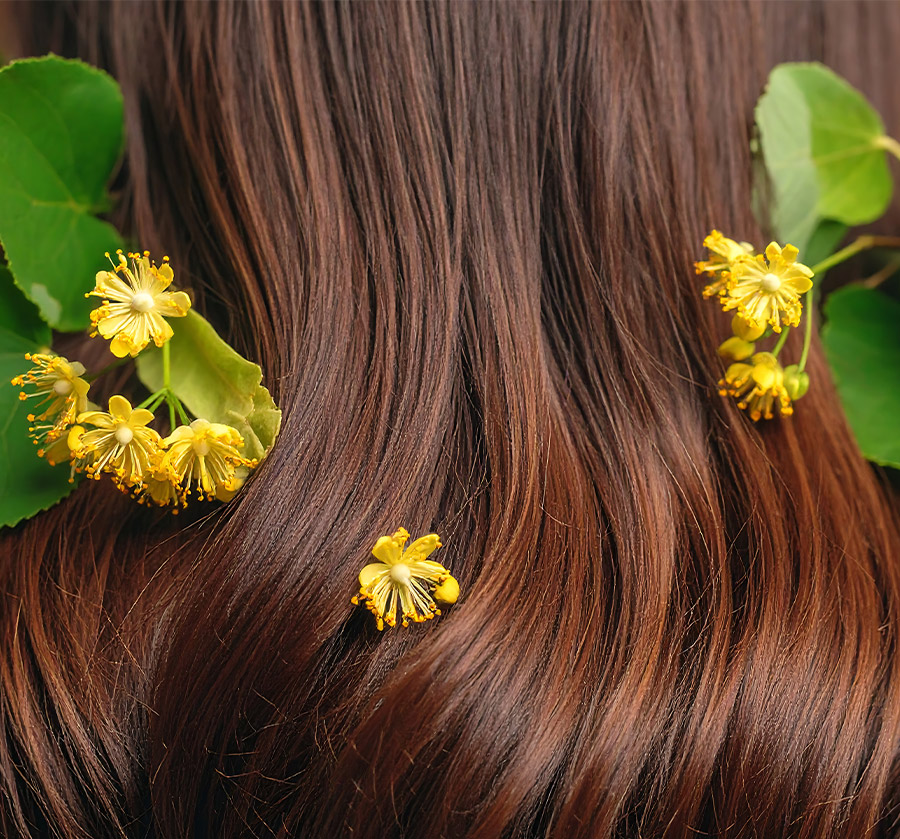 discover shampoos bars conditioners bars